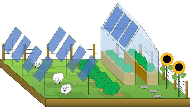 New research from Swansea University reveals ways in which solar power and agriculture can coexist.